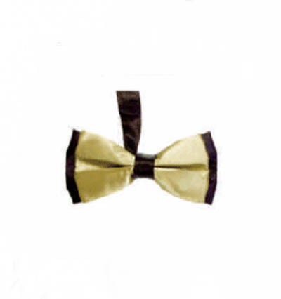 BT021 design two color matching tie for men and women bridegroom's best man evening performance collar tie manufacturer side view
